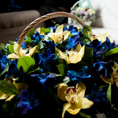 gallery item